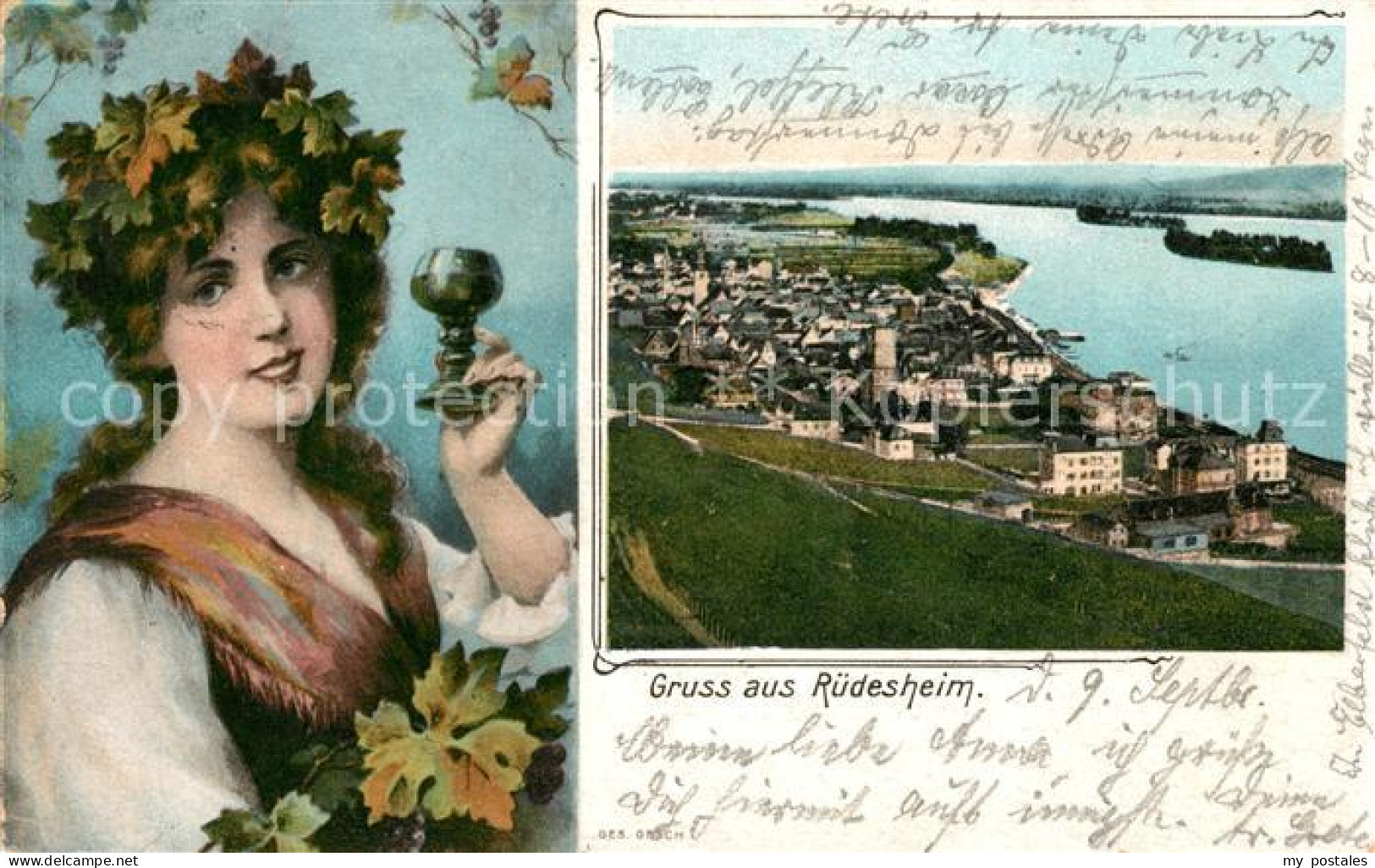 Ruedesheim Rhein Panorama