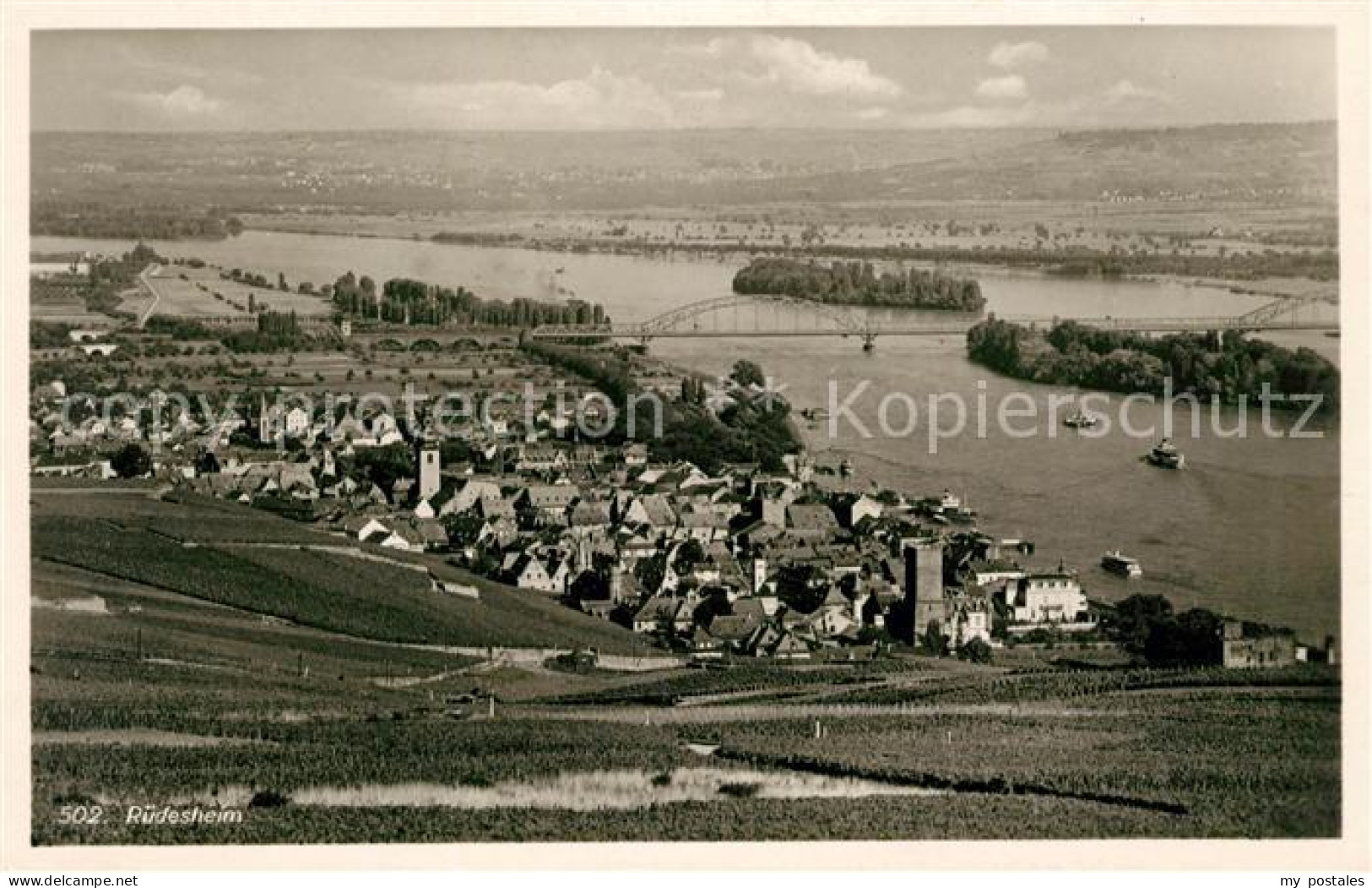 Ruedesheim Rhein Panorama