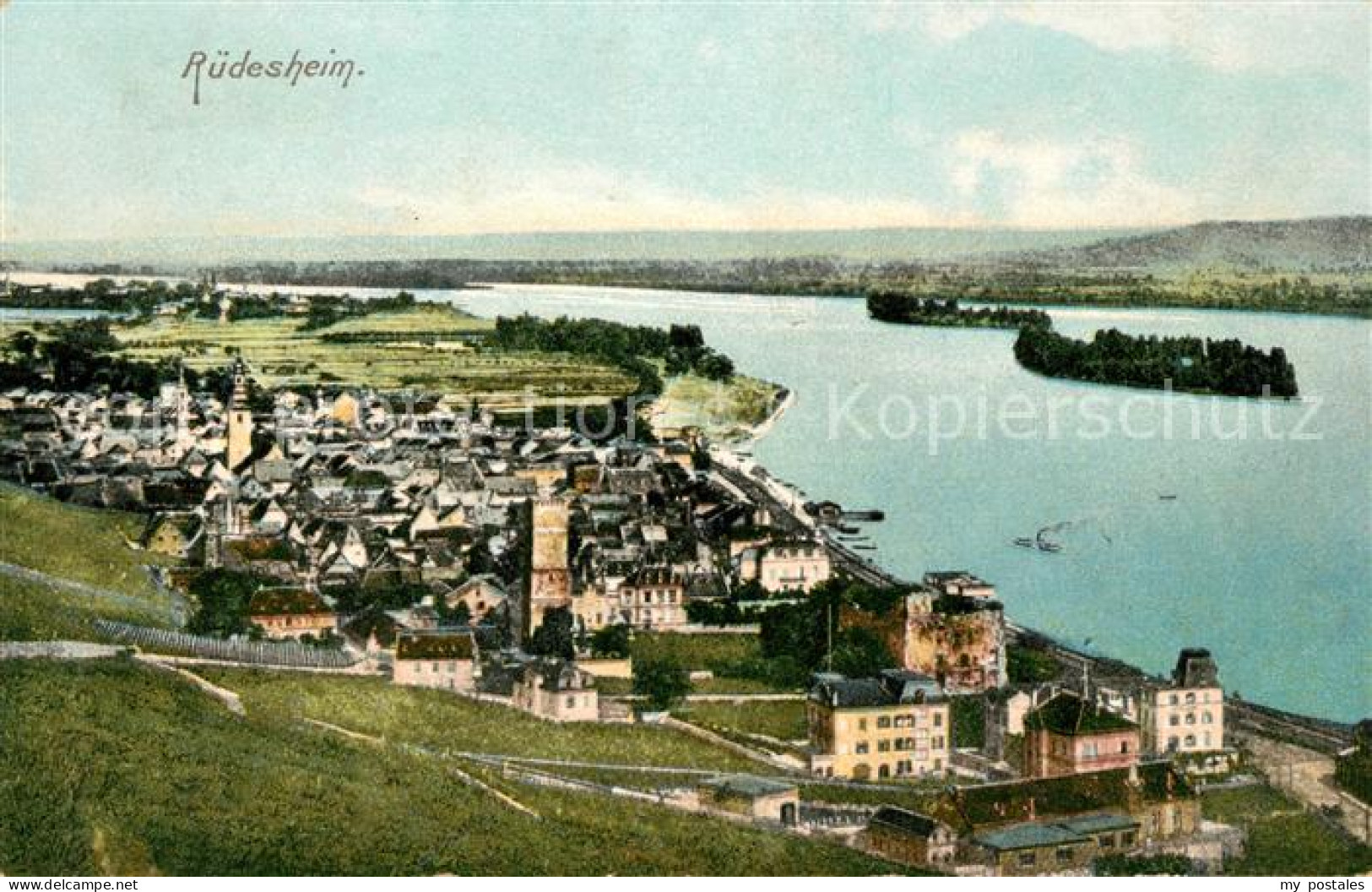 Ruedesheim Rhein Panorama
