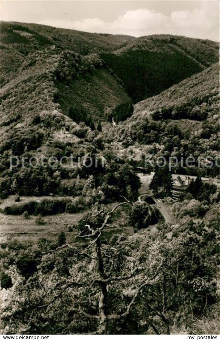 Ruedesheim Rhein Panorama
