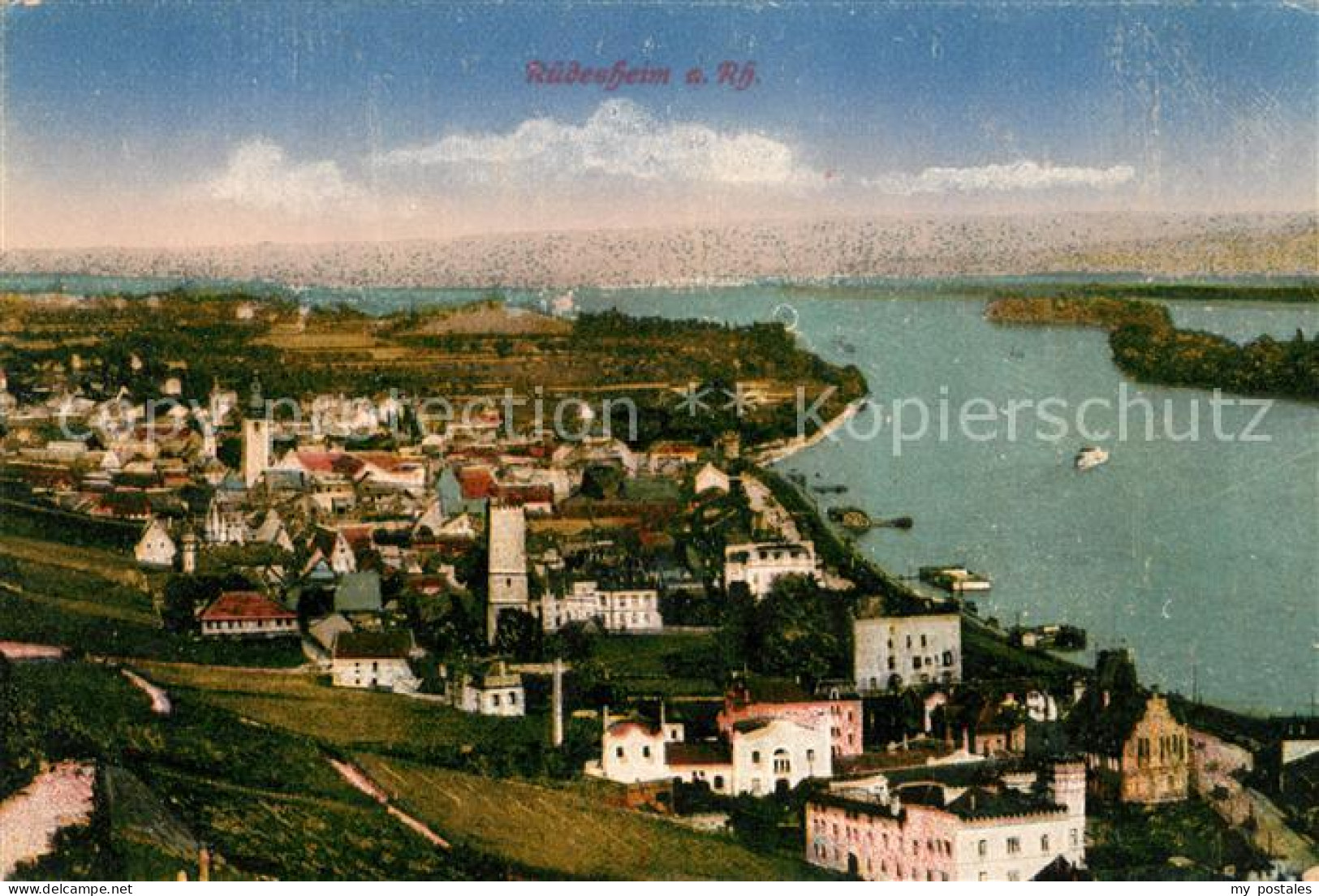 Ruedesheim Rhein Panorama