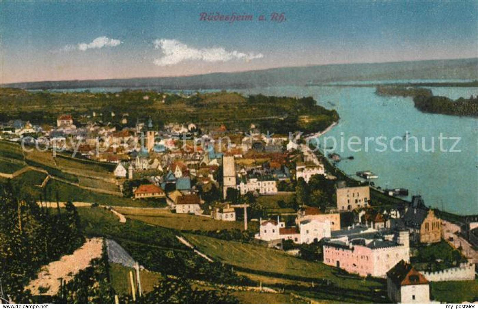Ruedesheim Rhein Panorama