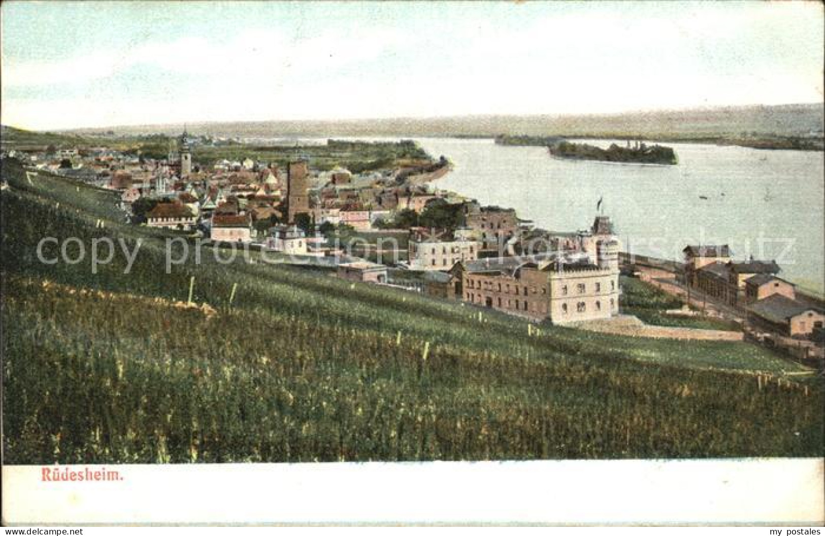 Ruedesheim Rhein Panorama