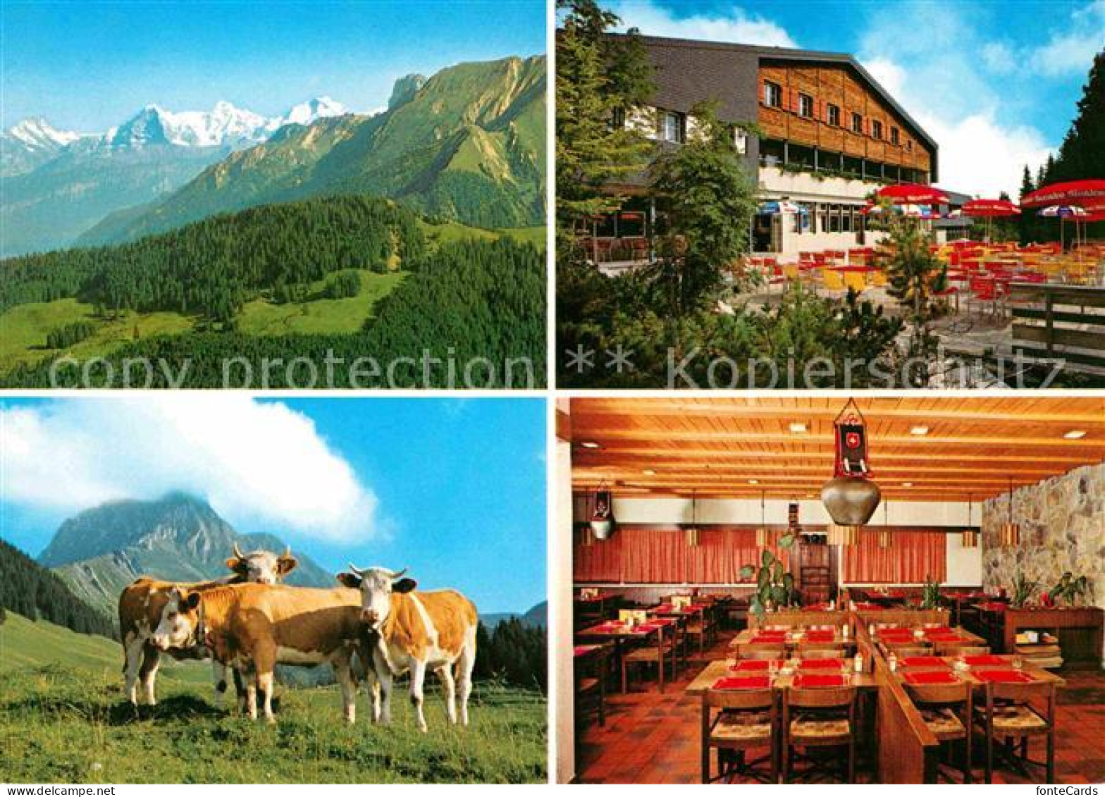 Rueti Riggisberg Restaurant Gurnigel Berghaus Eiger Moench Jungfrau