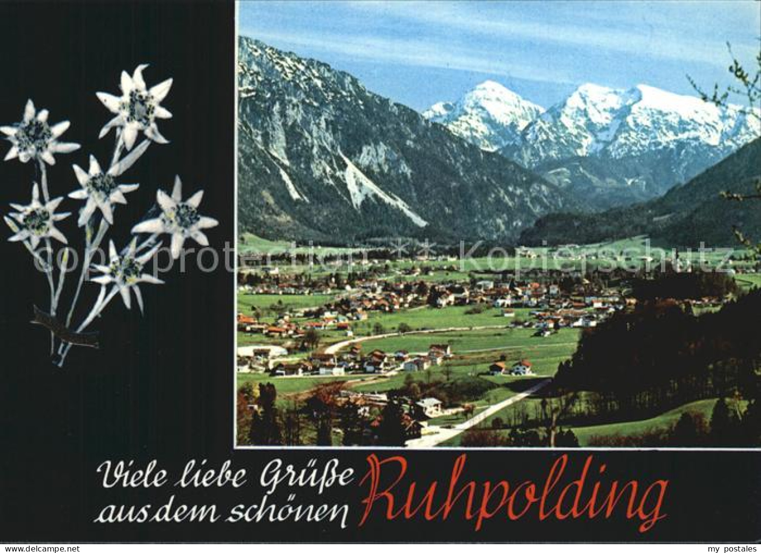 Ruhpolding Bayern mit Blick zu Chiemgauer Alpen Edelweiss