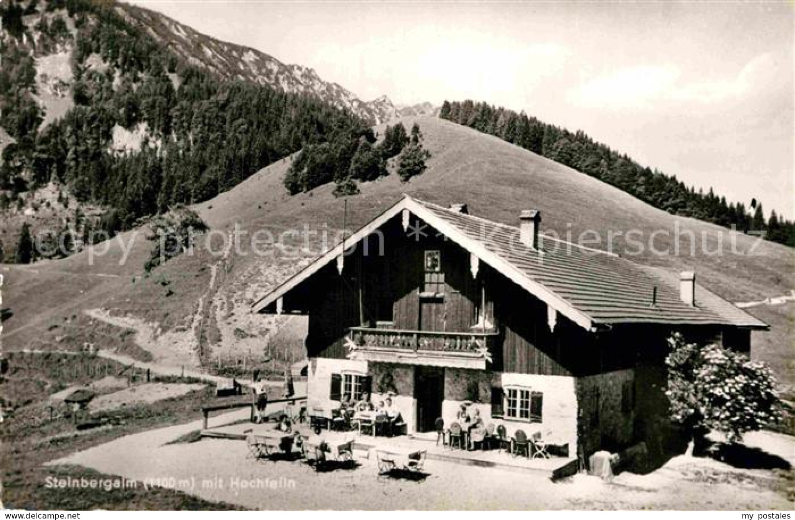 Ruhpolding Bayern Steinbergalm mit Hochfelln Chiemgauer Alpen