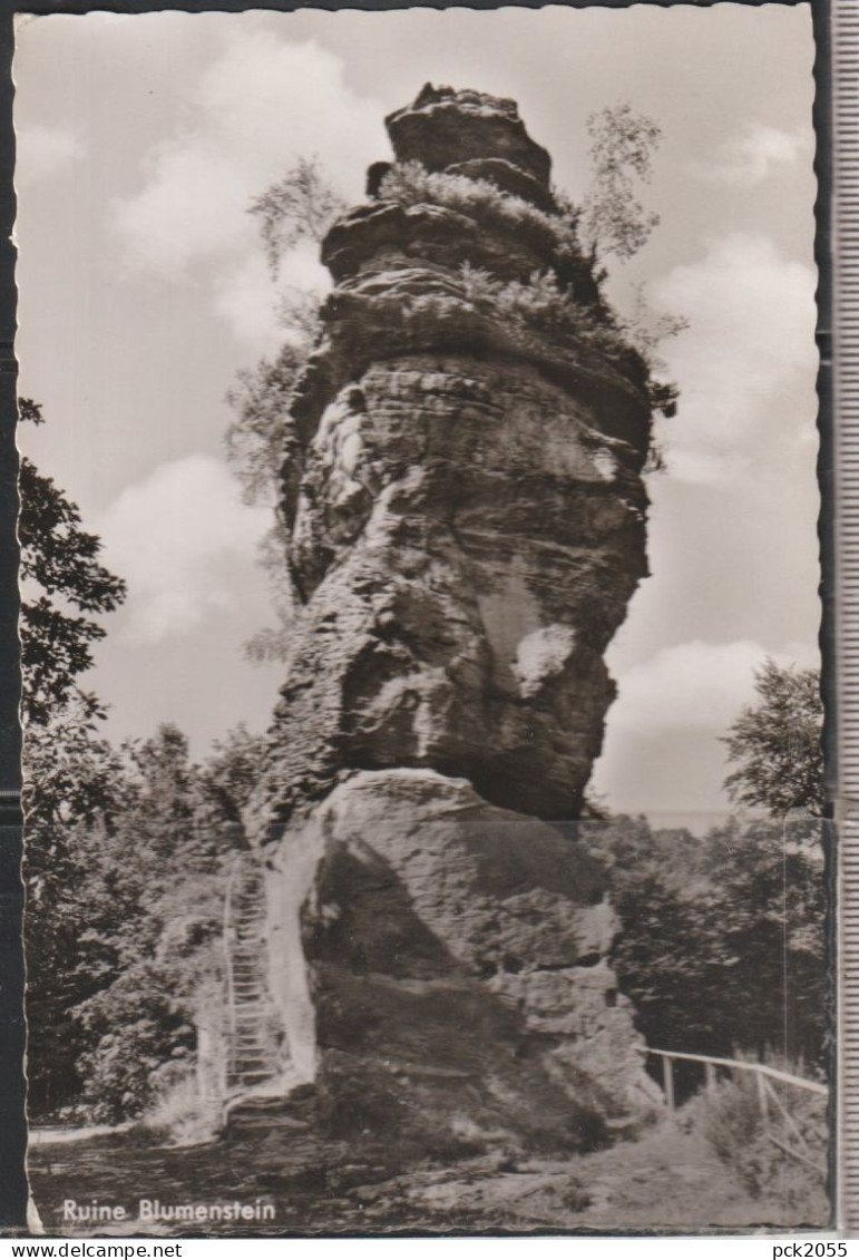 Ruine Blumenstein bei Schönau in der Pfalz - gelaufen 1965 ( AK 7390 )