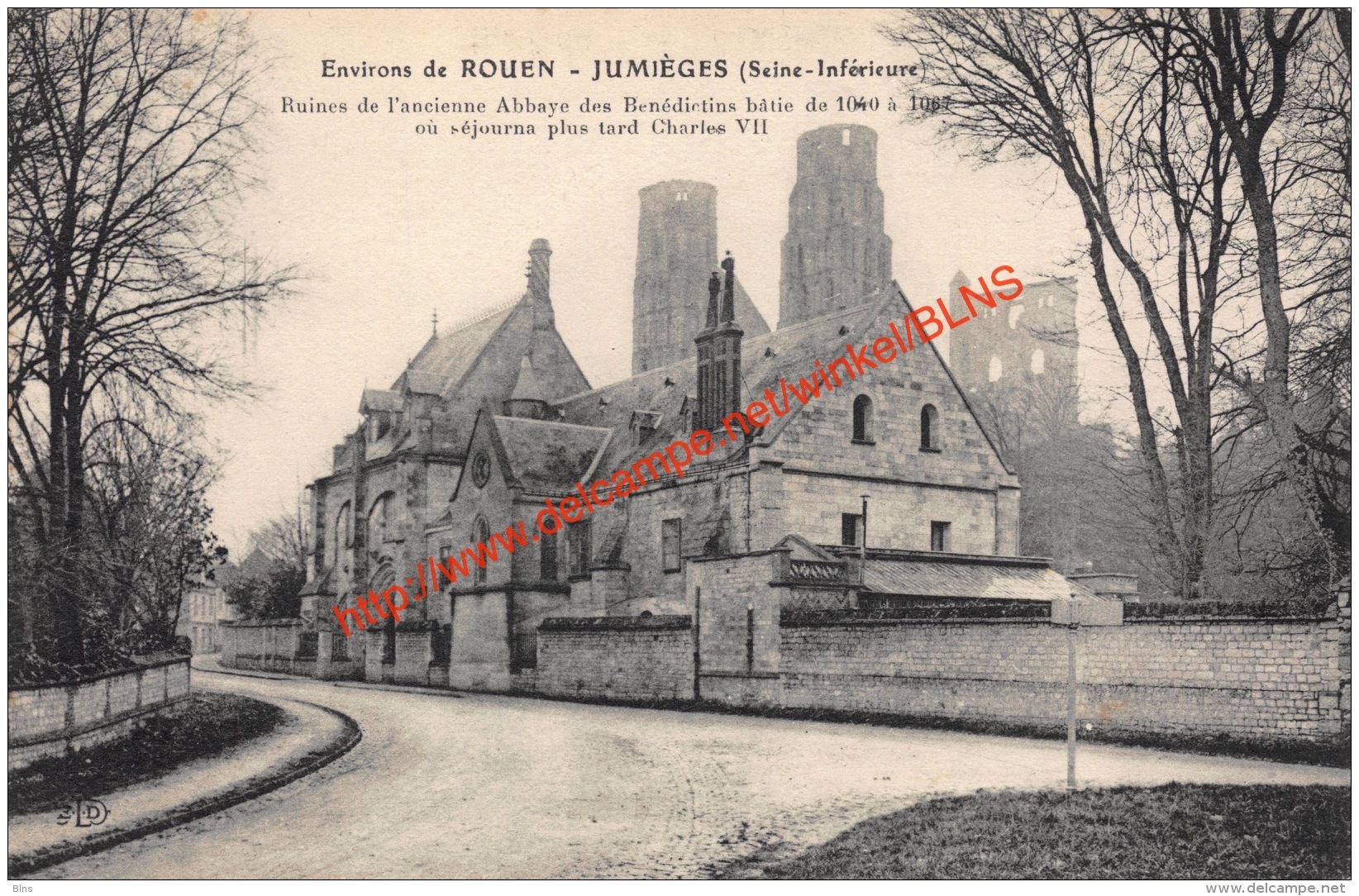 Ruines de l'ancienne Abbaye des Bénédictins - Jumièges - Jumieges
