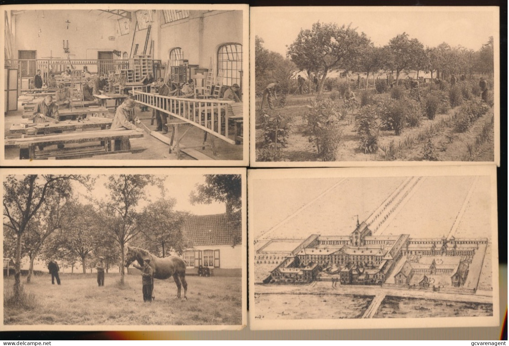 RUISELEDE RIJKSOPVOEDINGSGESTICHT. 20 KAARTEN