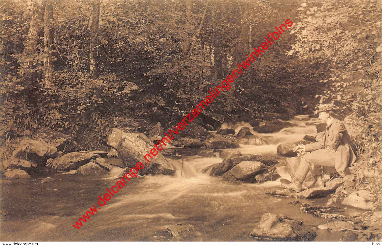 Ruisseau du Petit Fays - Vresse-sur-Semois