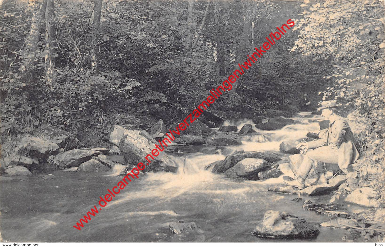 Ruisseau du Petit-Fays - Vresse-sur-Semois