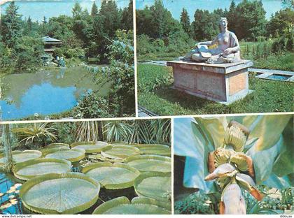 Carte Postale - Roumanie - Cluj - Gradina botanica - Jardin botanique - Multivues - Romania - Rumania - CPM - Voir Scans