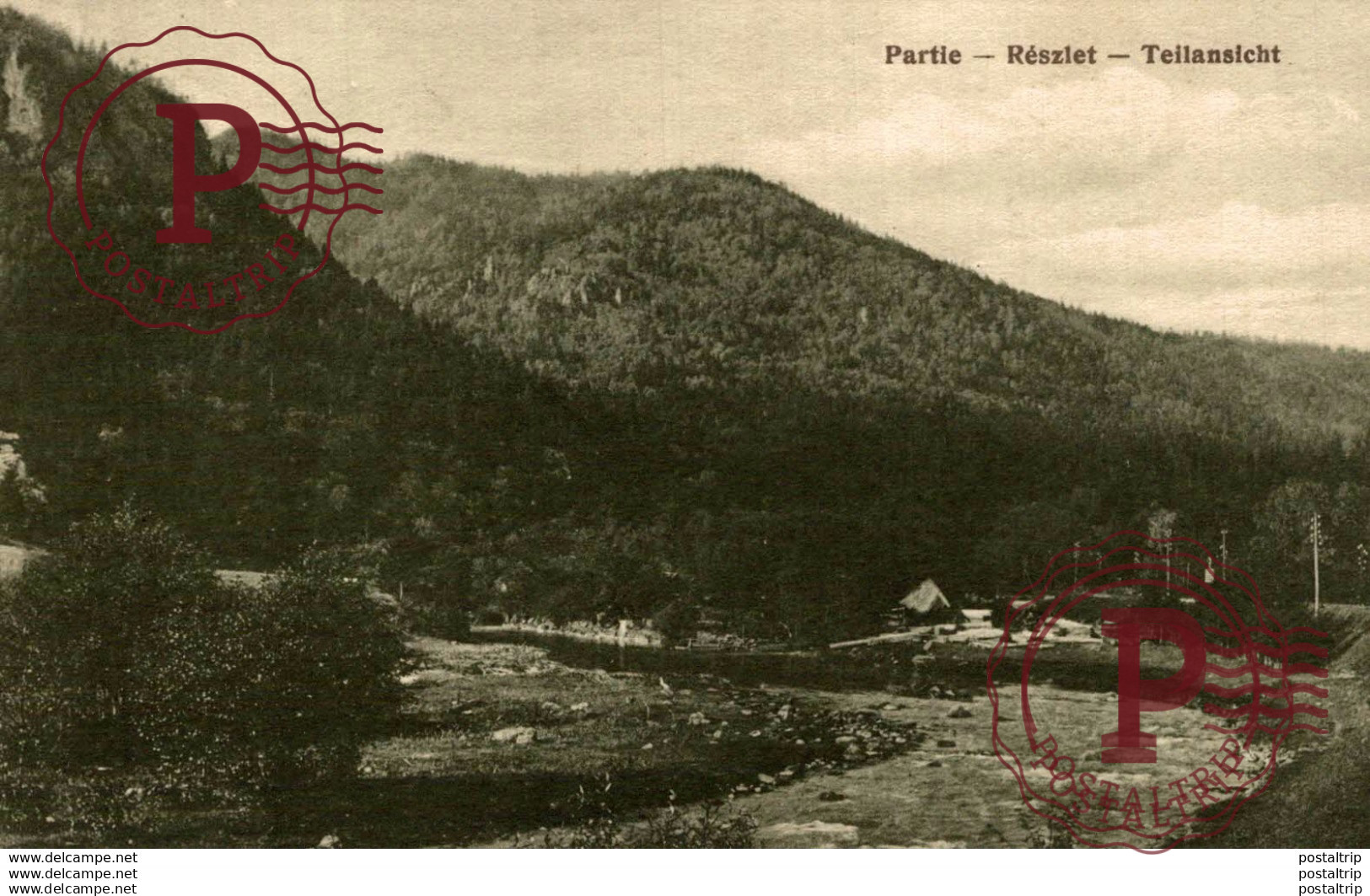 RUMANIA // ROMANIA. PARTIE. RESZLET. TEILANSICHT