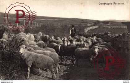 CAMPAGNA ROMANA    Romania Roemenië