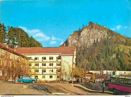 Roumanie - Baia Borsa - Vedere - Automobiles - Romania - Rumania - CPM - Voir Scans Recto-Verso