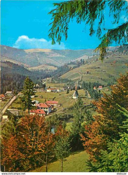 Roumanie - Peisaj in Munti Apuseni - Romania - Rumania - CPM - Voir Scans Recto-Verso