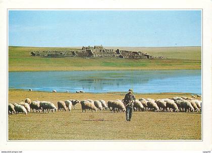 CPM Mongolie exterieure La steppe