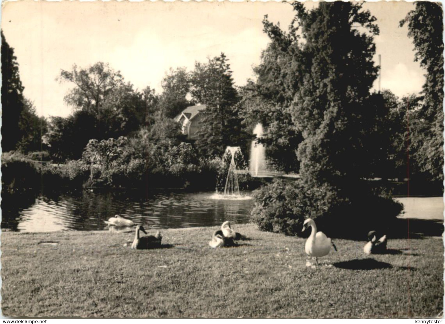 Rüsselsheim - Stadtpark