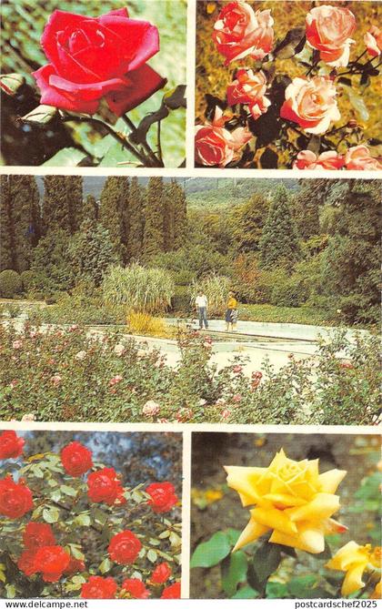BT15660 flowers fleur Russia            Russia