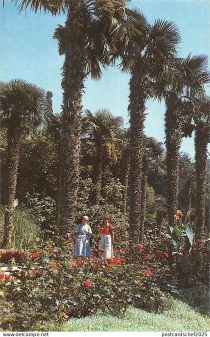 BT15672 Russia        Russia