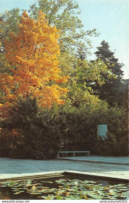 BT15666 Russia          Russia