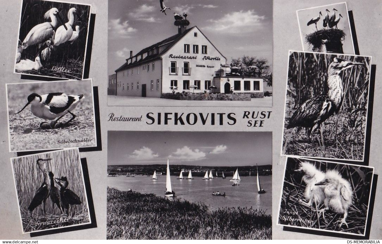 RUST - Restaurant Sifkovits 1961