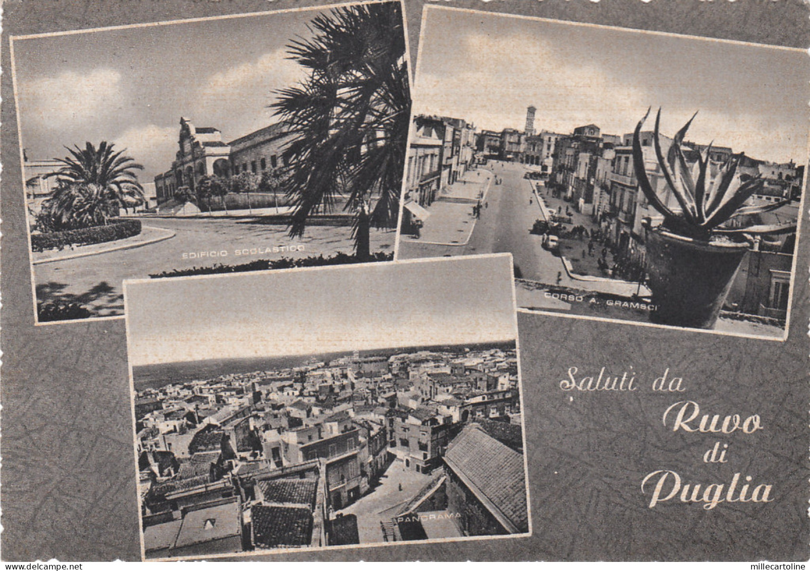 * RUVO DI PUGLIA - Panorami