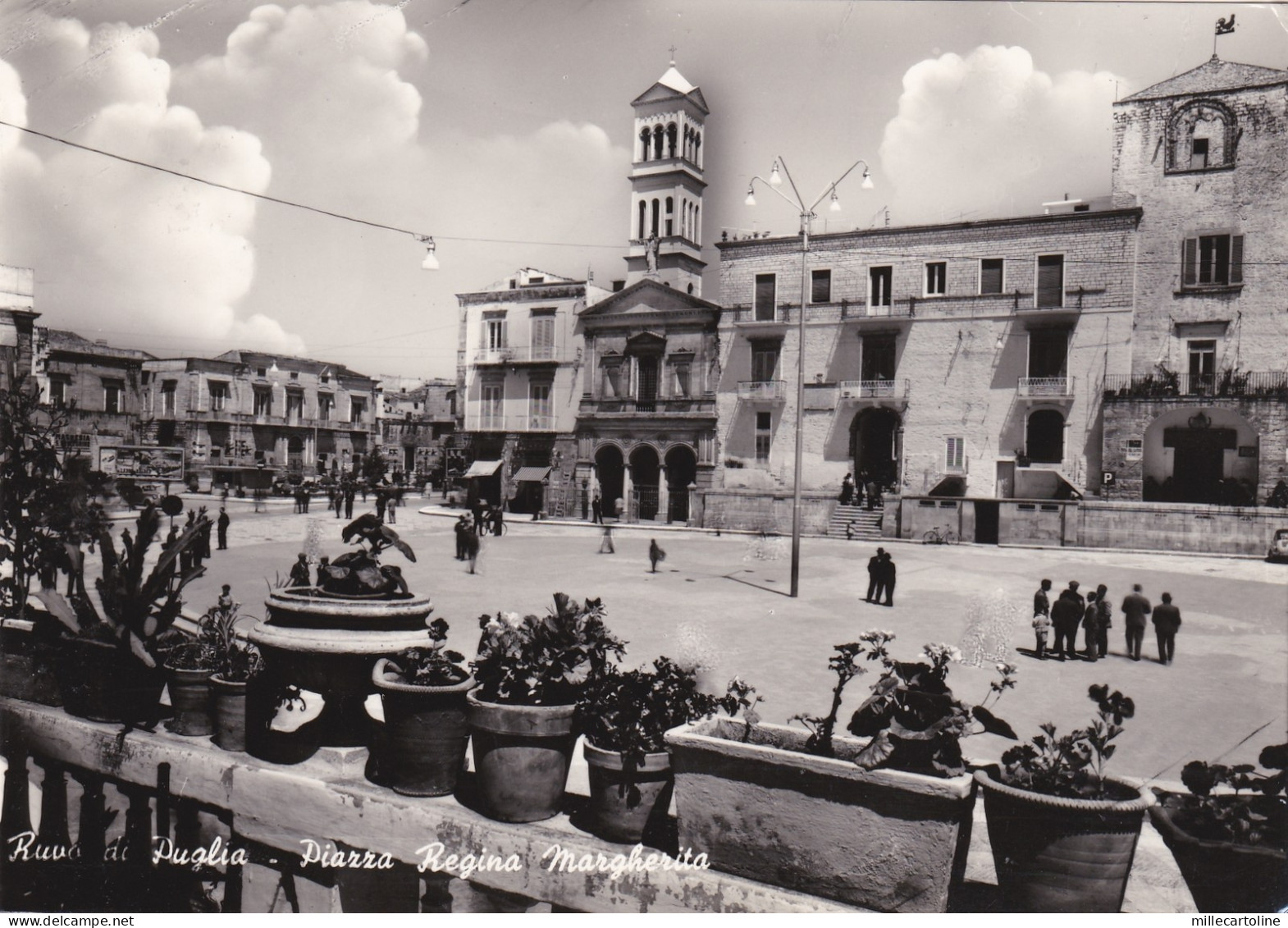 # RUVO DI PUGLIA: PIAZZA REGINA MARGHERITA