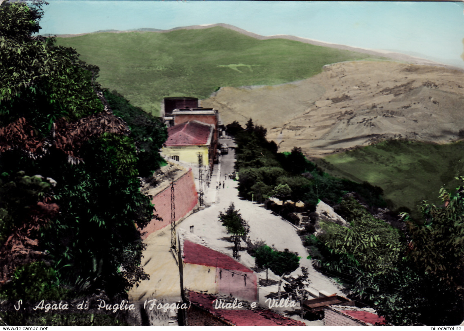 #S. AGATA DI PUGLIA: VIALE E VILLA