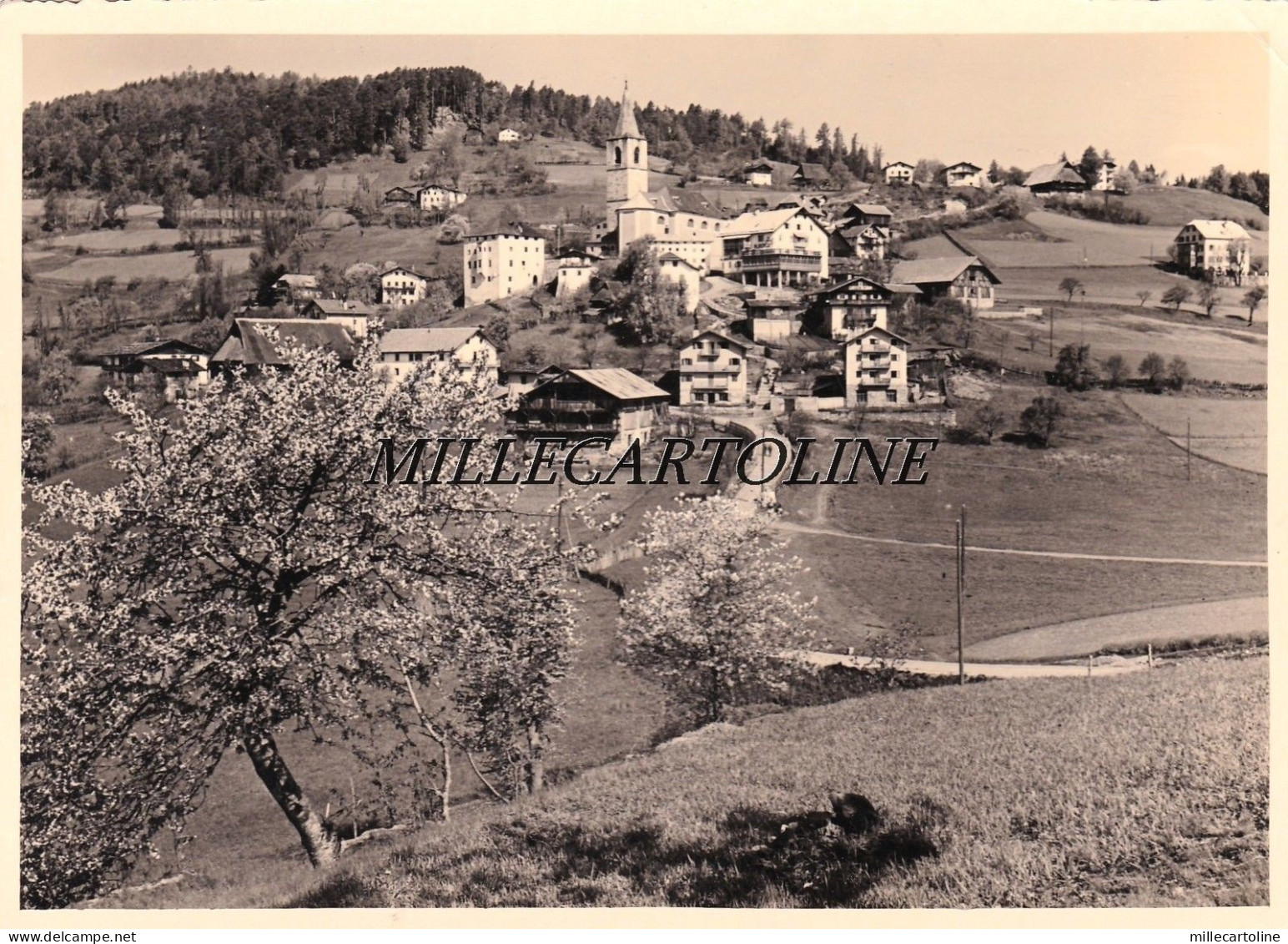S. GENESIO: Primavera nell'Alto Adige   1943