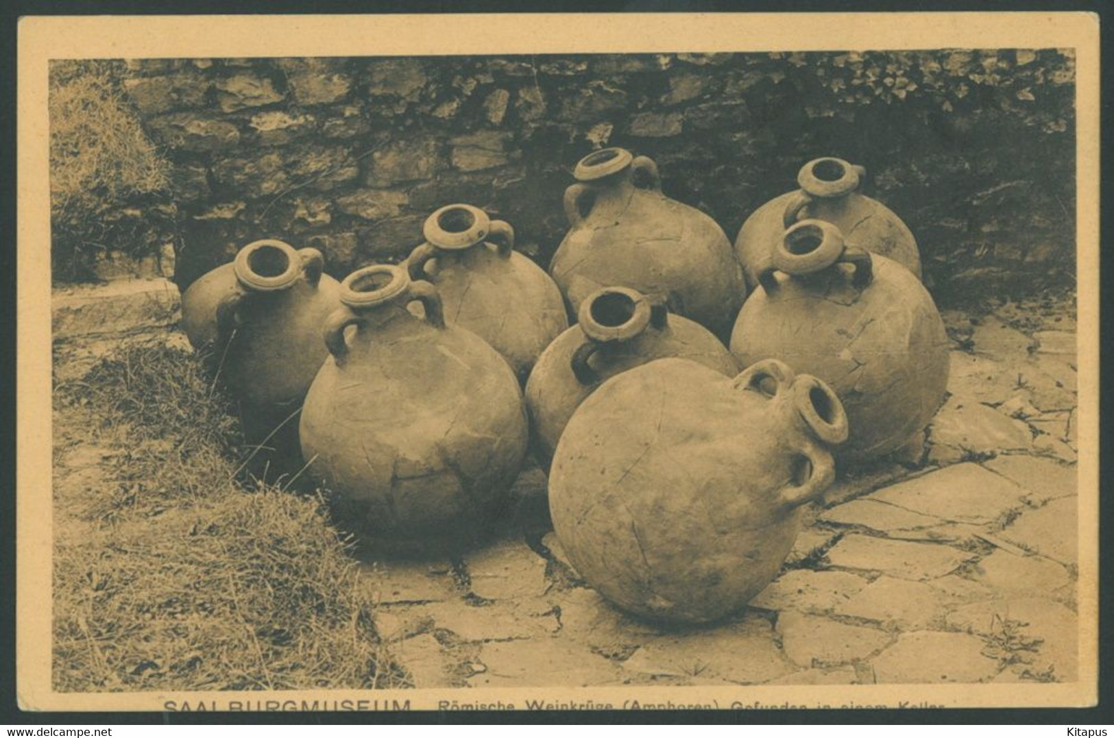 SAALBURG vintage postcard Germany