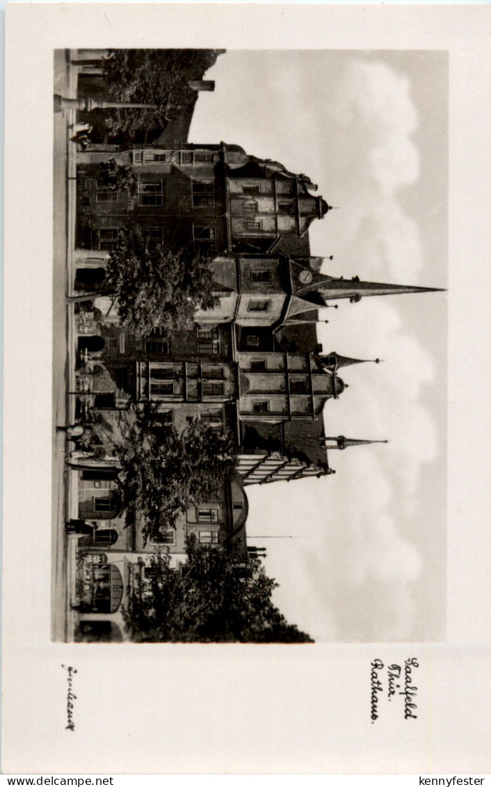 Saalfeld - Rathaus