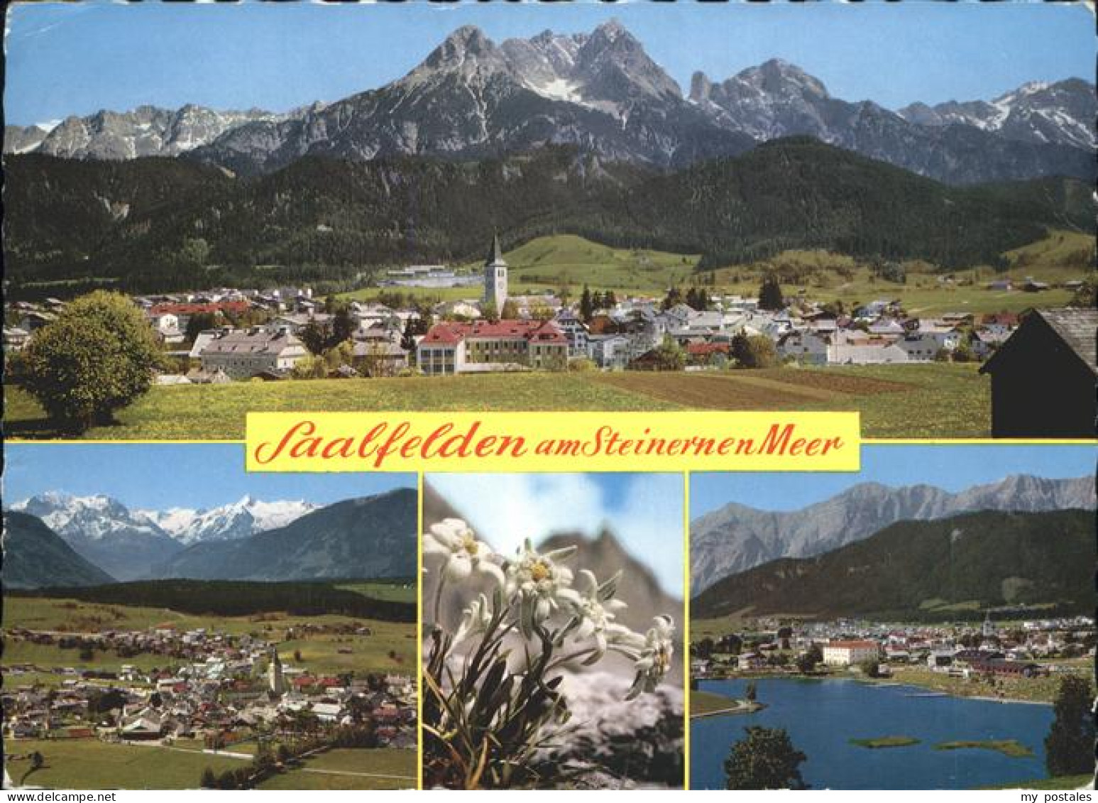 Saalfelden Steinerne Meer Edelweiss Saalfelden Kitzsteinhorn Strandbad