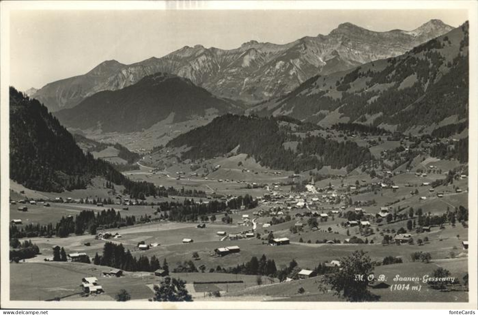 Saanen Gessenay