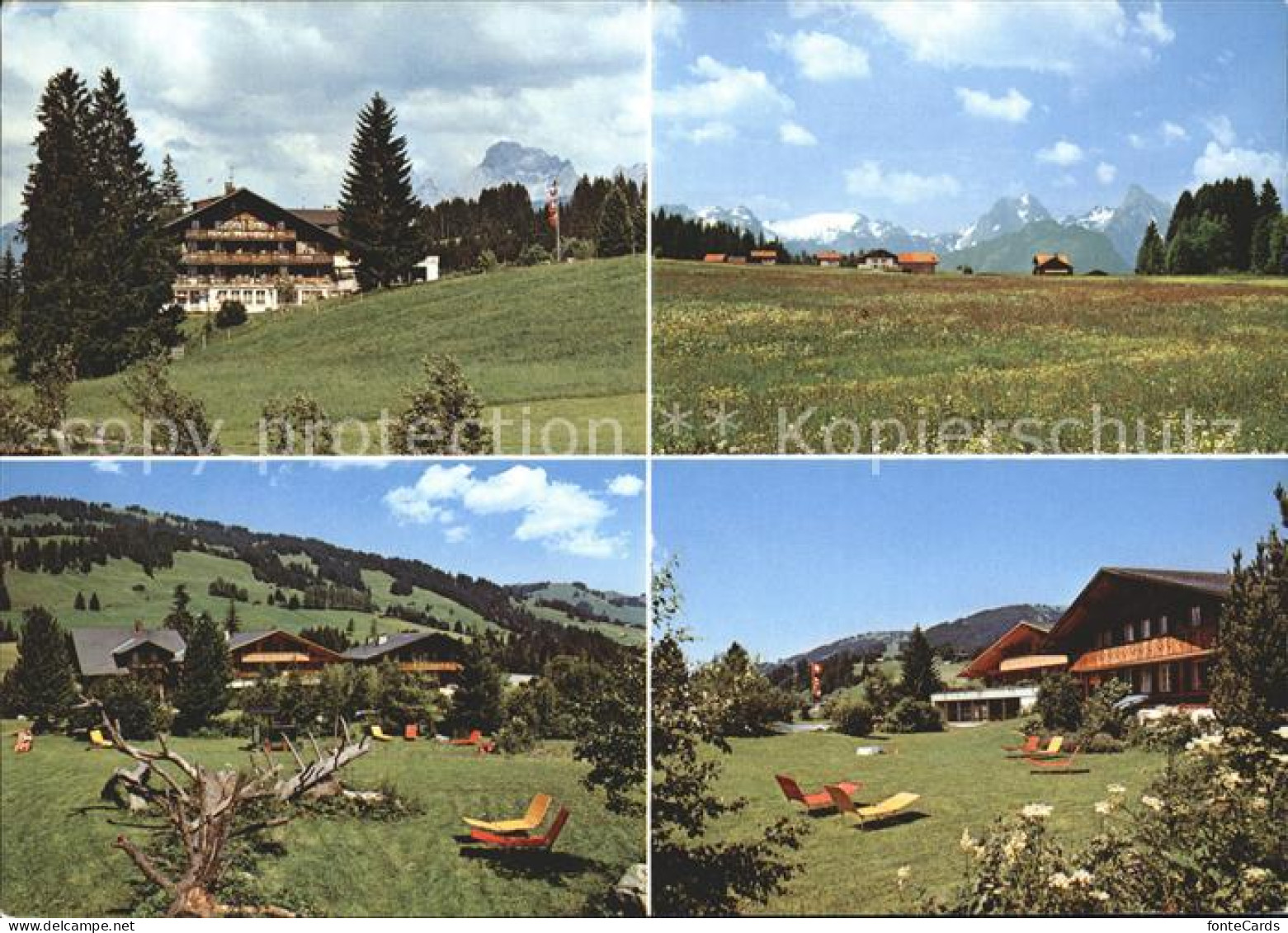 Saanenmoeser Hornberg Hotel Hornberg Teilansichten