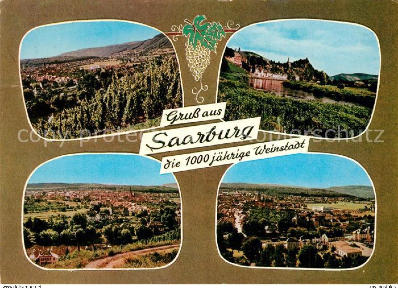 Saarburg Saar Panorama