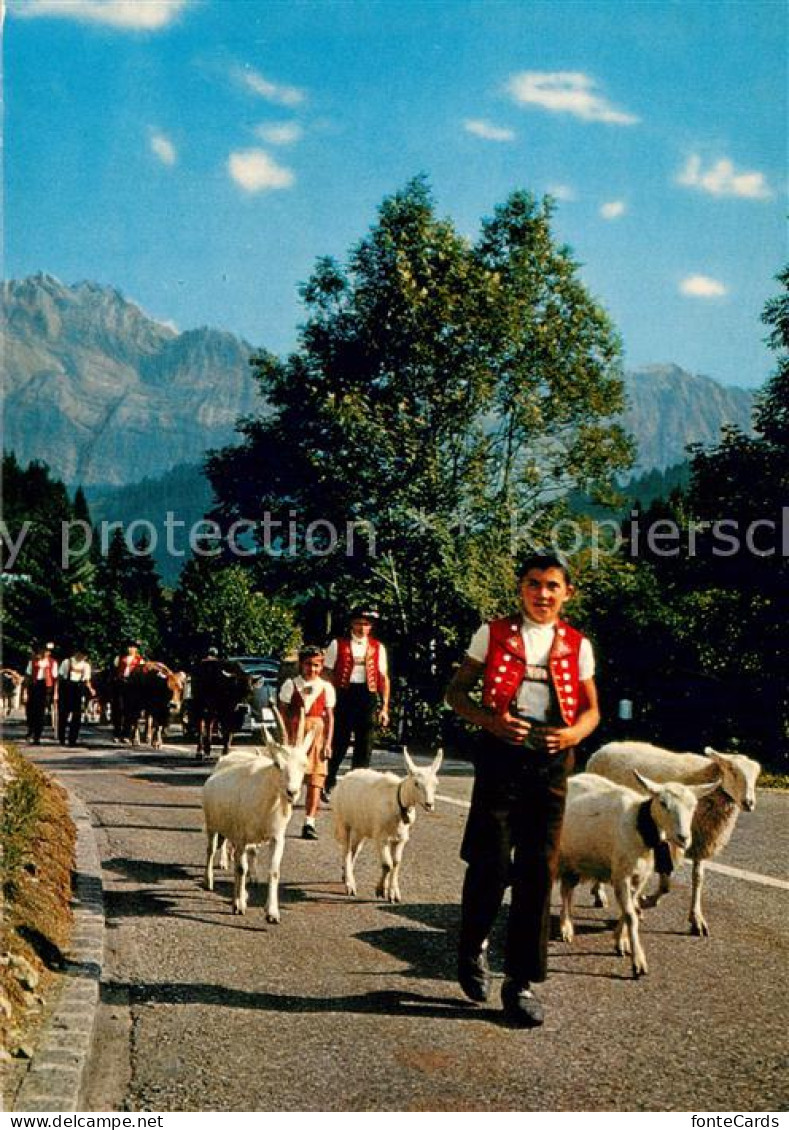 Saentis AR Alpfahrt mit Saentis