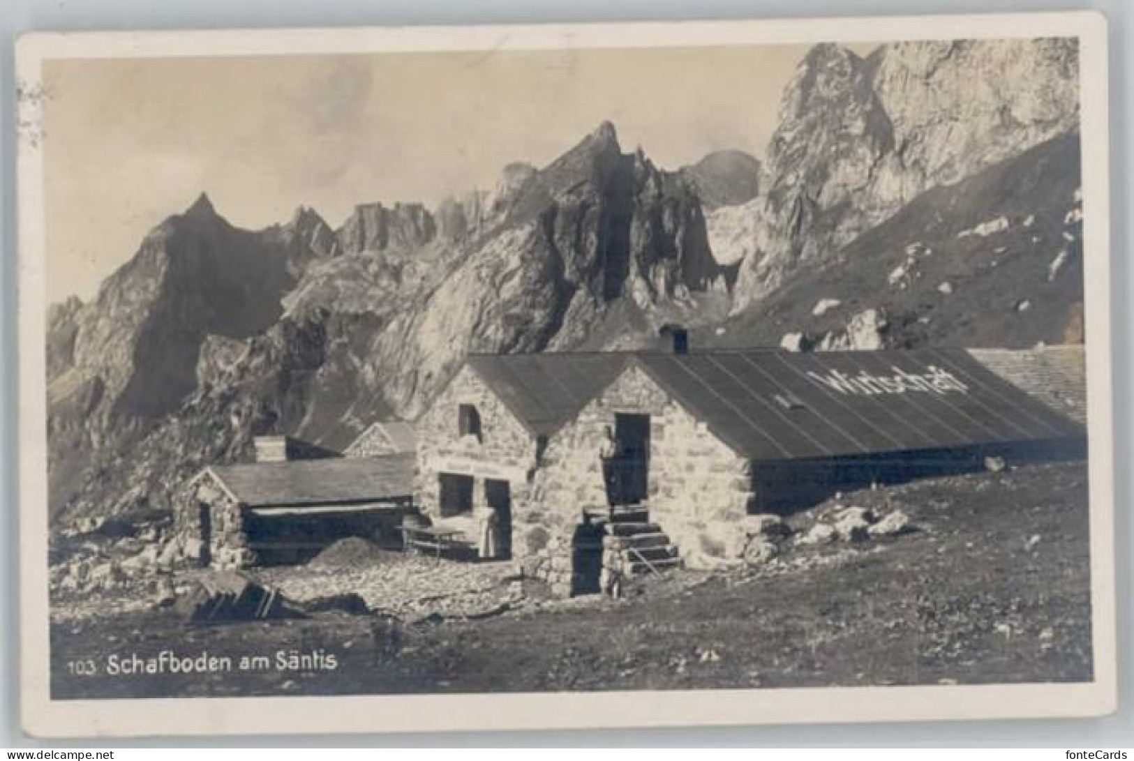 Saentis AR Saentis Schafboden