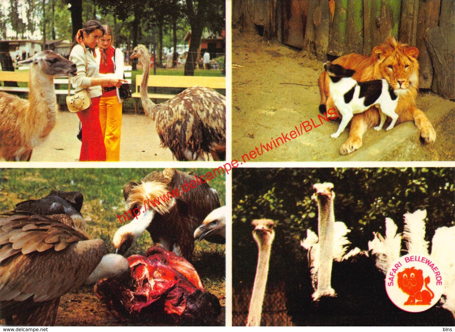 Safari Bellewaerde - Zillebeke - Ieper