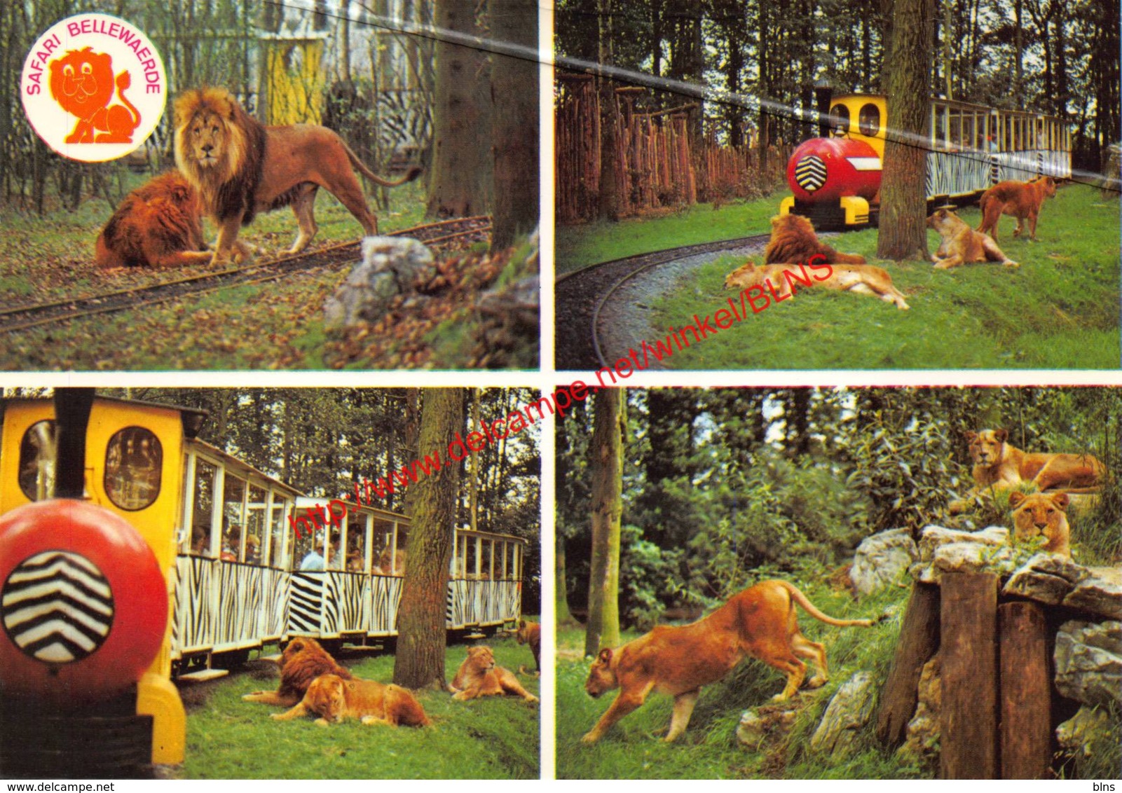 Safari Bellewaerde - Zillebeke - Ieper