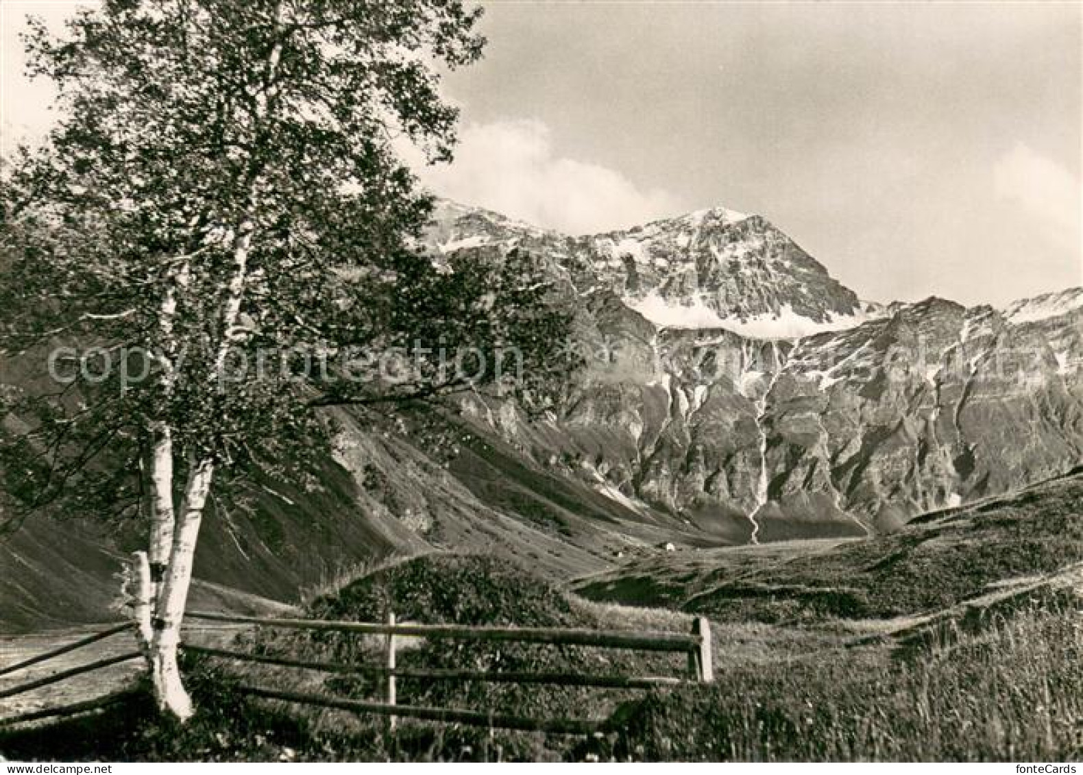 Safien Thalkirch GR mit Weisshorn