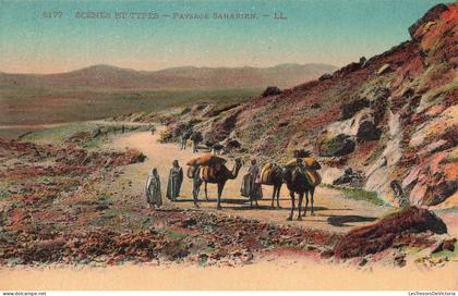 [-5%] SAHARA OCCIDENTAL - Paysage Saharien - Scènes et types - Carte Postale Ancienne