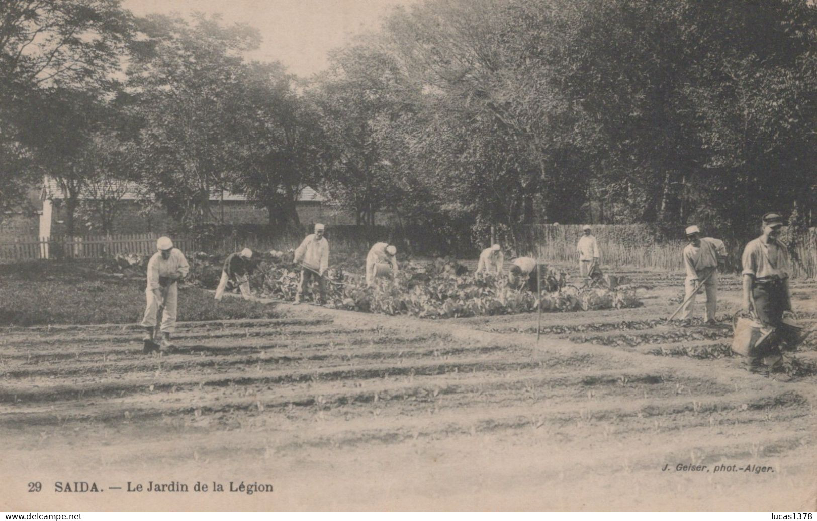 SAIDA / LE JARDIN DE LA LEGION