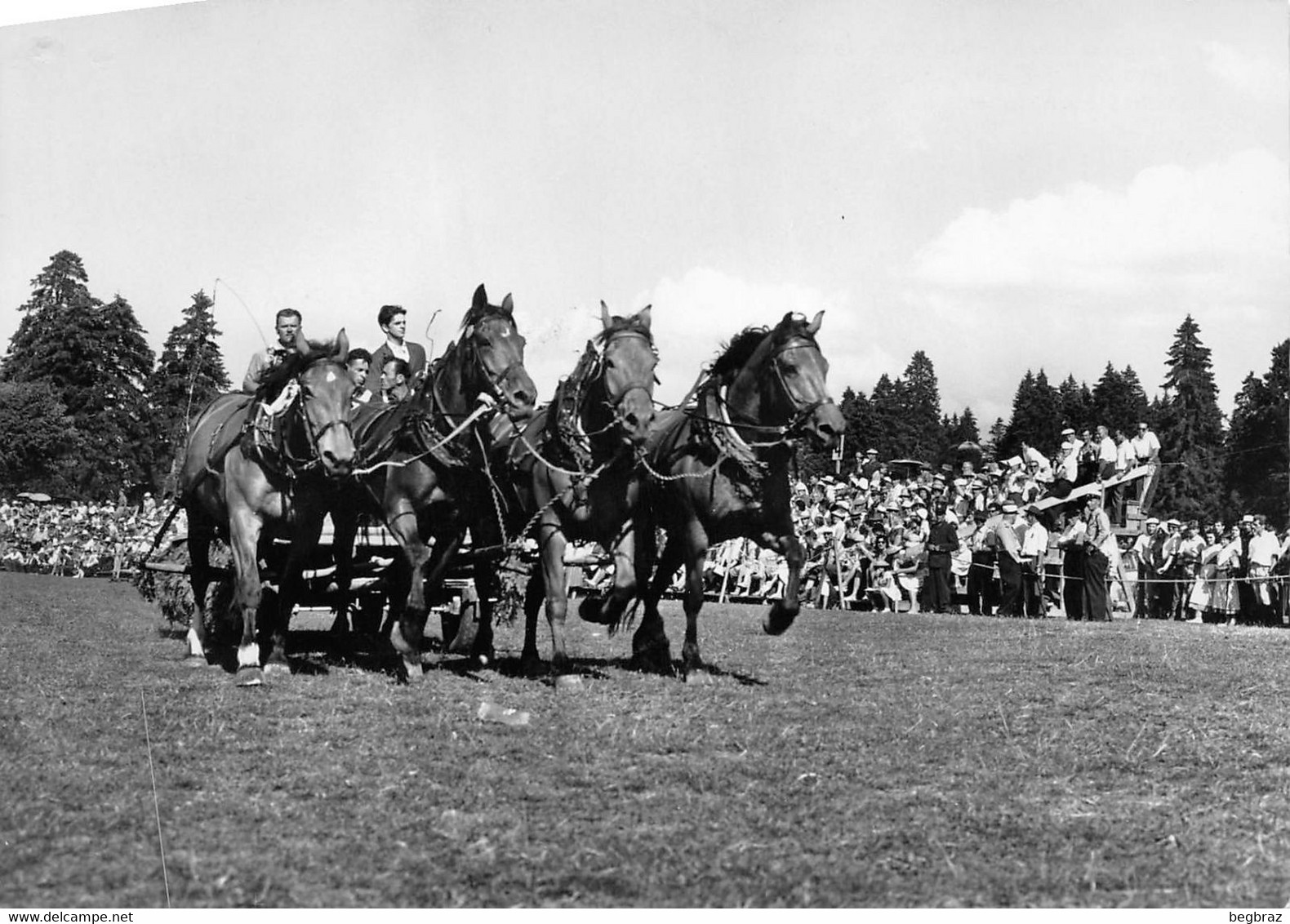 SAIGNELEGIER      MARCHE CONCOURS DE CHEVAUX