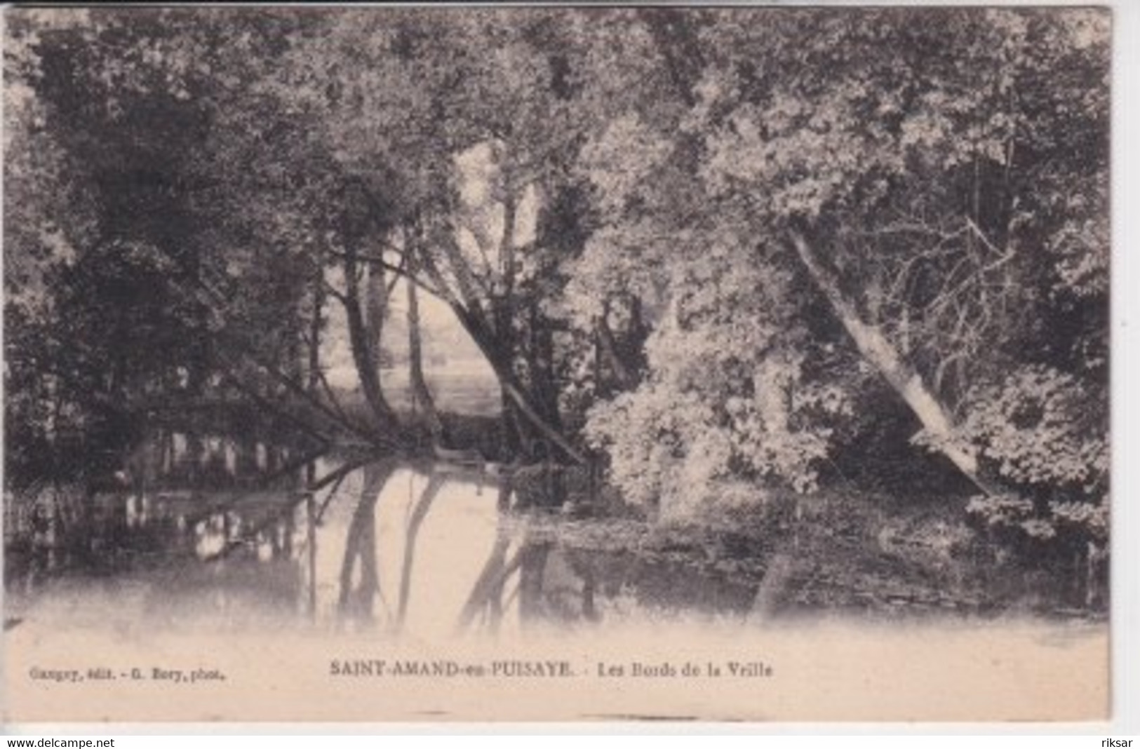 SAINT AMAND EN PUISAYE(ARBRE)
