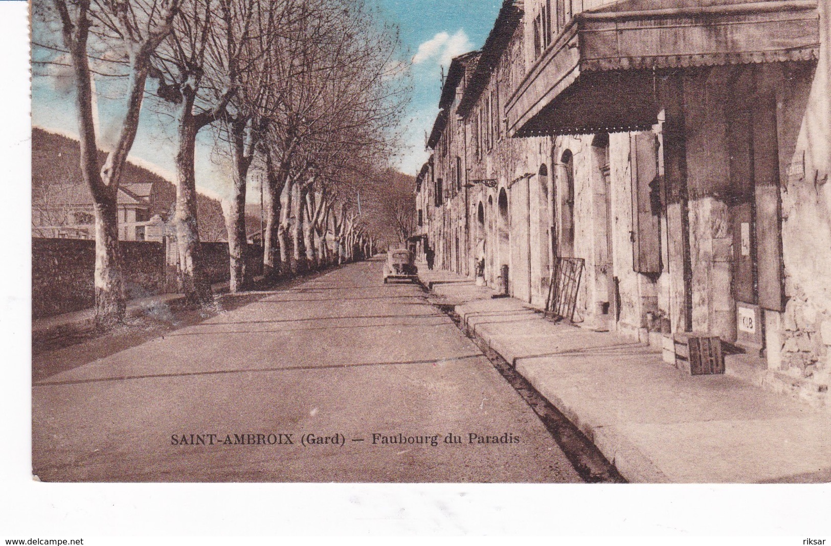 SAINT AMBROIX(ARBRE)
