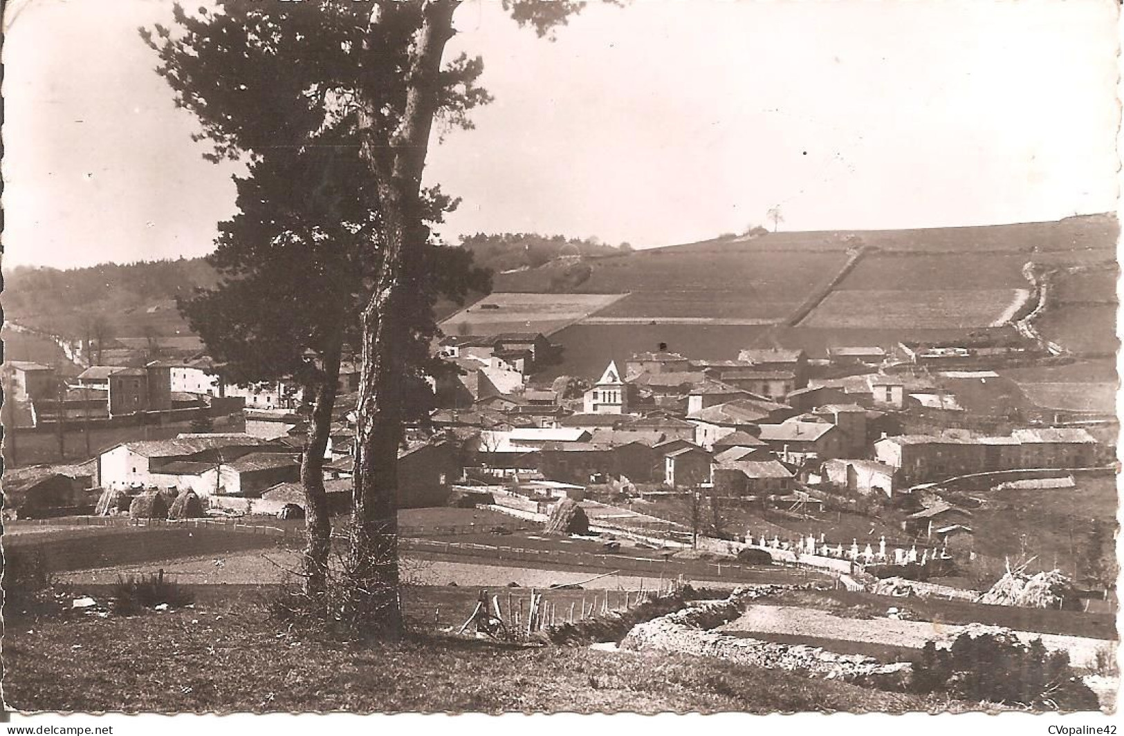 SAINT-ANDRE-LA-COTE (69) Vue Générale en 1954  CPSM  PF