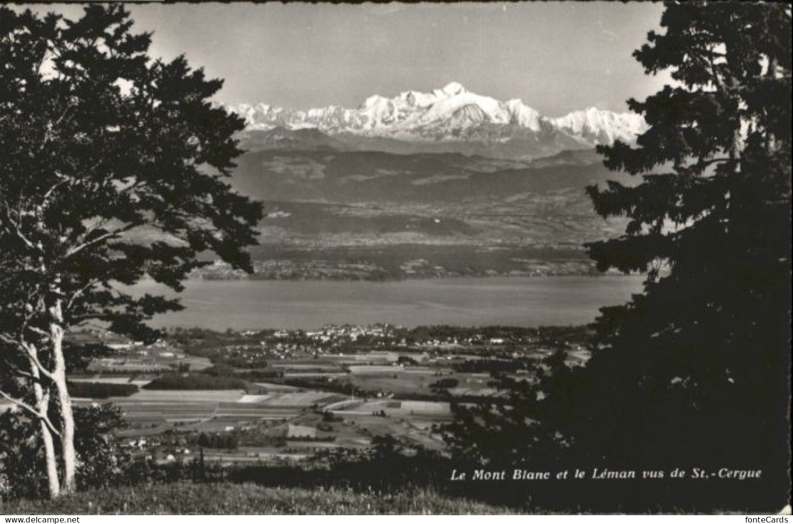 Saint-Cergue Nyon Suisse St Cergue