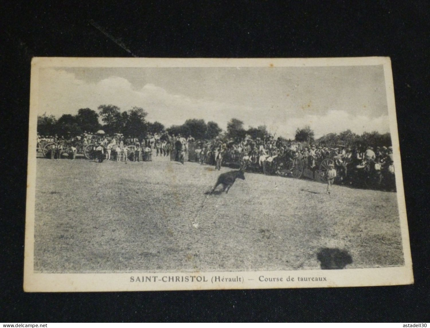 SAINT CHRISTOL , course de taureaux ............. 28425
