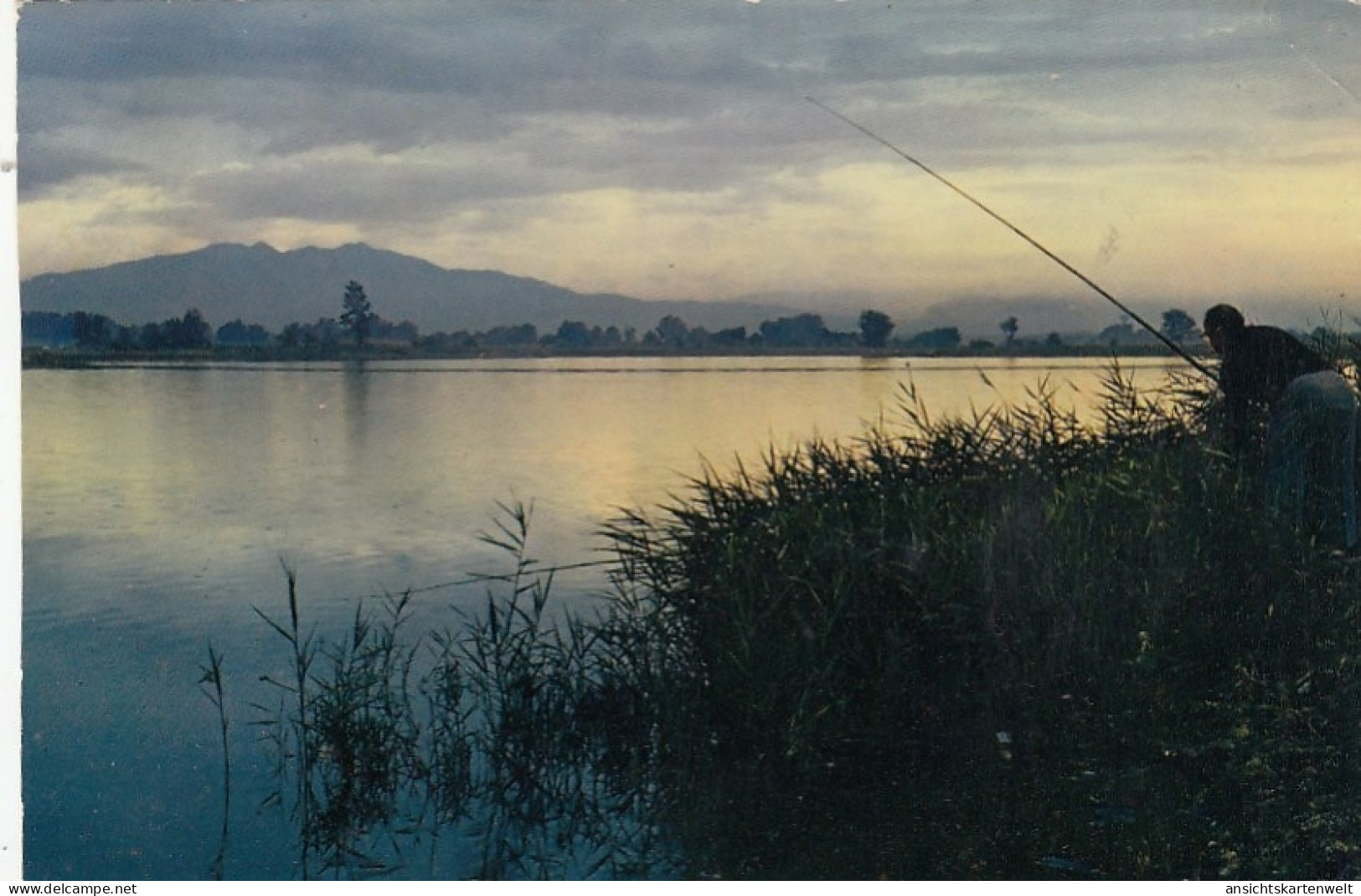 Saint Cyprien Plage (Pyrénées-Orientales) ngl #F9682